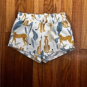 Gus +'Steel 12/18M Cheetah Print Swim Trunks